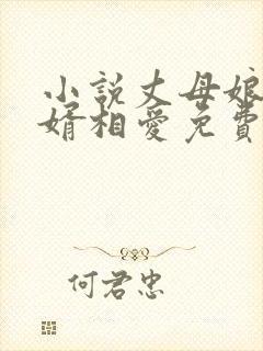 小说丈母娘和女婿相爱免费阅读