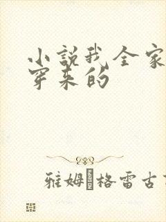 小说我全家都是穿来的