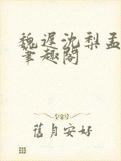 魏迟沈梨孟灵薇笔趣阁