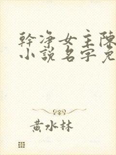 干净女主陈树净小说名字免费