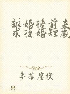 离婚后前夫哭着求复婚短剧