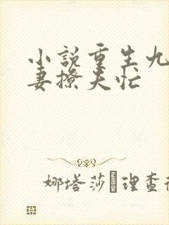 小说重生九零甜妻撩夫忙