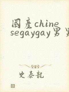国产chinesegaygay男男