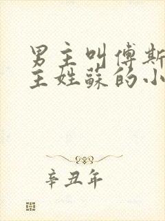 男主叫傅斯年女主姓苏的小说