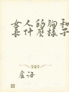 女人的胸和屁股长什么样子?