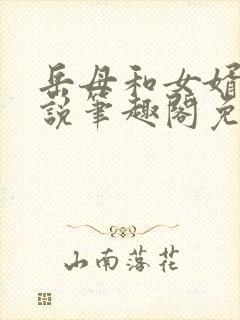 岳母和女婿的小说笔趣阁免费阅读全文无弹窗封面