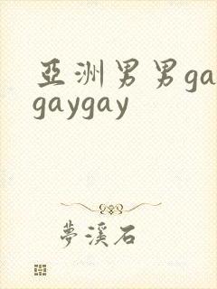 亚洲男男gaygaygay