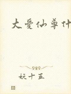 大爱仙尊什么梗封面