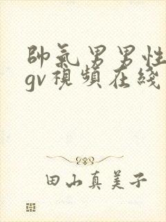 帅气男男性行为gv视频在线看