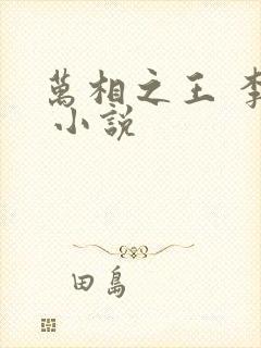 万相之王 李洛 小说