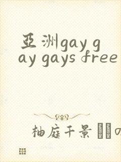 亚洲gay gay gays free