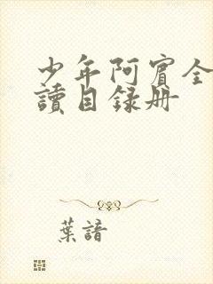 少年阿宾全文阅读目录册封面