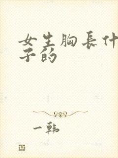 女生胸长什么样子的