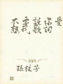 不要说你爱我你想我歌词