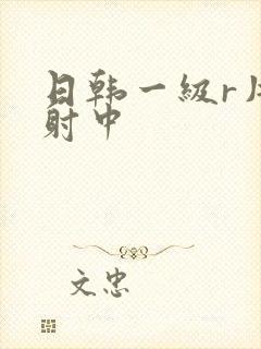 日韩一级r片内射中