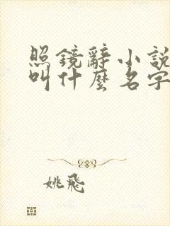 照镜辞小说原著叫什么名字