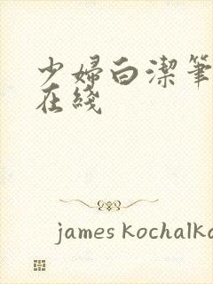 少妇白洁笔趣阁在线