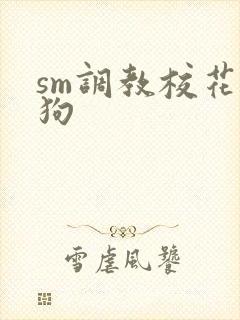 sm调教校花母狗