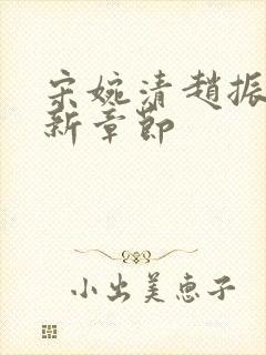 宋婉清赵振国最新章节