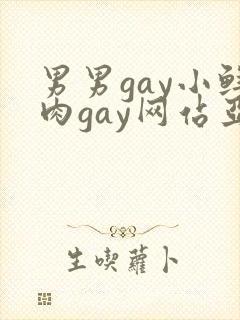 男男gay小鲜肉gay网站亚洲封面