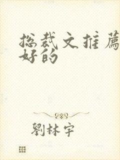 总裁文推荐文笔好的