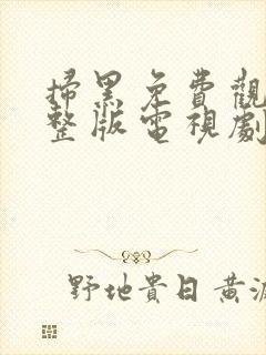 扫黑免费观看完整版电视剧高清