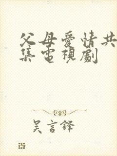 父母爱情共多少集电视剧封面