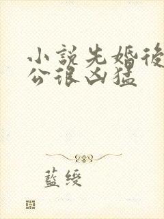 小说先婚后爱老公很凶猛