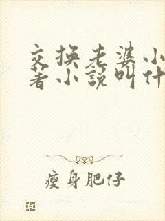 交换老婆小说原著小说叫什么名字