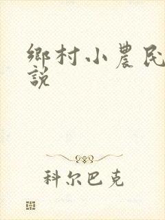 乡村小农民的小说