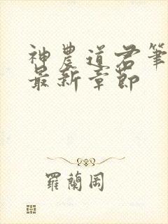 神农道君笔趣阁最新章节封面