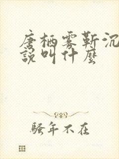 唐栖雾靳沉野小说叫什么