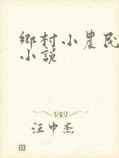 乡村小农民有声小说