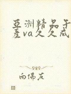 亚洲精品午夜国产va久久成人