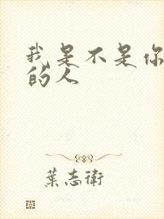 我是不是你最爱的人封面