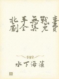 北平无战事电视剧全集免费播放