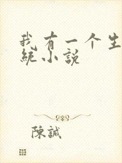 我有一个生子系统小说