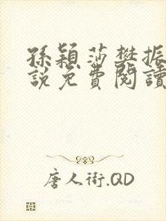 孙颖莎樊振东小说免费阅读