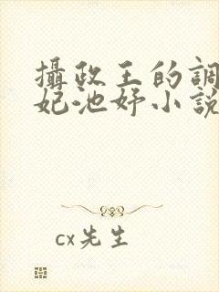 摄政王的调皮王妃池妤小说免费阅读