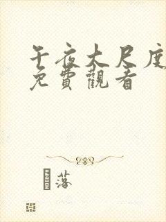 午夜大尺度视频免费观看