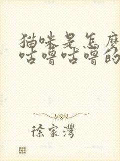 猫咪是怎么发出咕噜咕噜的声音封面