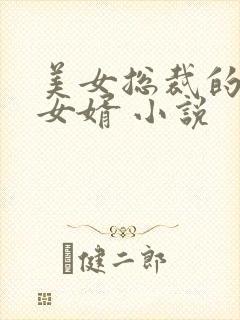 美女总裁的上门女婿 小说