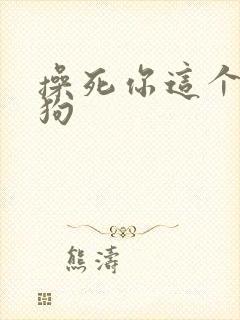 操死你这个小母狗