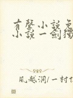 有声小说免费听小说一剑独尊