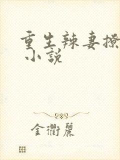 重生辣妻撩夫忙 小说封面