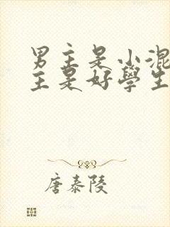 男主是小混混女主是好学生的小说