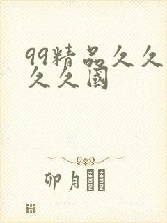 99精品久久久久久国