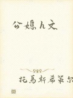 公媳 h文