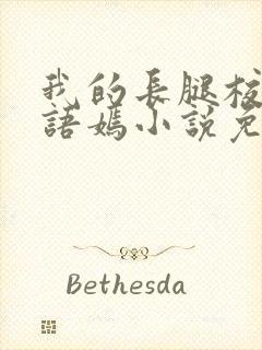 我的长腿校花凌语嫣小说免费阅读