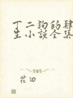 丁二狗的肆意人生小说全集免费下载